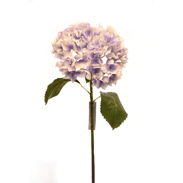 F00192