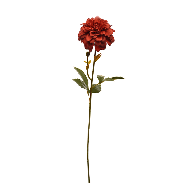 F00194