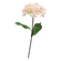 F00207