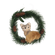 W02579