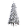 W01019