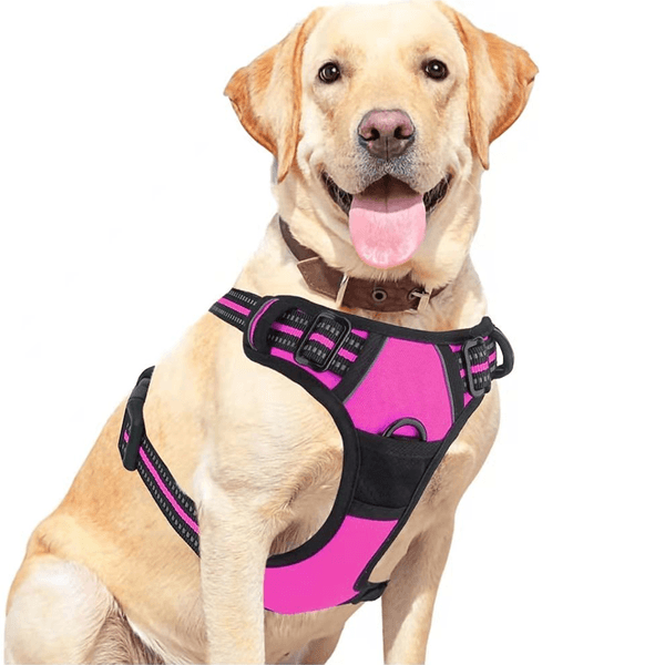 Arnes para Perro No-Pull Comfort| Compra en PYCCA pycca