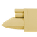 D06309