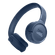 D06621