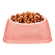 N00816