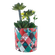 F00556