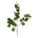F00633