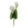 F00630