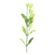 F00552