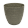 N01529