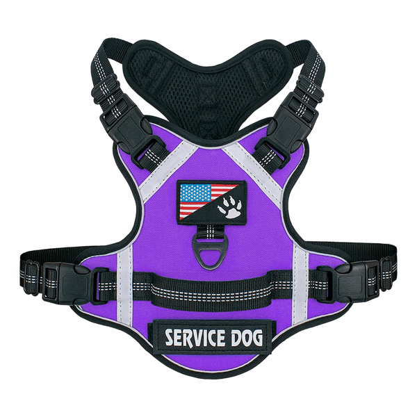 PS3536