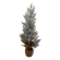 W04556