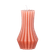 V05009
