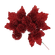 W04523