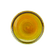 L05008