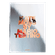 G05157