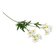 F00212