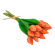 F00398