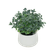 F00411