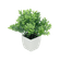 F00413