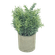 F00484