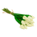 F00399