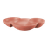 L05336