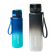 A06013