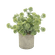 F00502