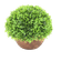 F00666
