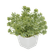 F00669