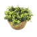 F00671