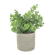 F00673