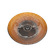 G05560