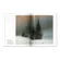 G06191-2.png