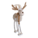 W05799