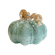 G06391