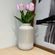 G06707-2-