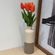 G06746-1-