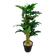 F00855