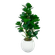 F00852