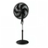D10621-2-