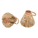 G07509