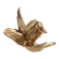G07420