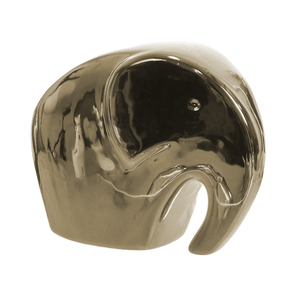 G07417